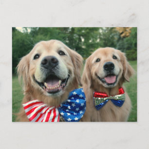 Carte Postale Golden Retrivers in Independence Day Bow Cravates