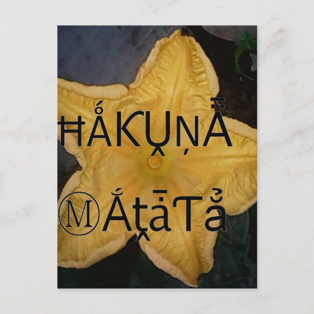 Carte Postale Golden Star Hakuna Matata (Devant)
