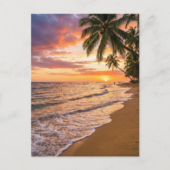 Carte Postale Golden Tropical Sunset Beach Postcard (Devant)