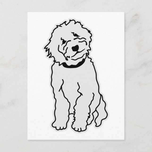 Carte Postale Goldendoodle (Devant)