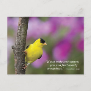 Carte Postale Goldfinch