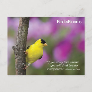 Carte Postale Goldfinch