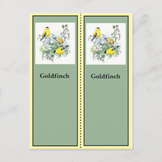 Carte Postale Goldfinch Birding Signets