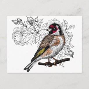 Carte Postale Goldfinch et rose