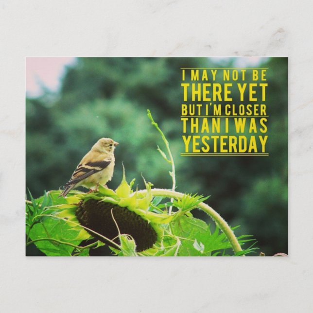 Carte Postale Goldfinch Plus Près Que J'Étais Hier (Devant)