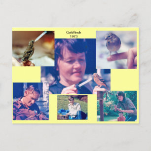 Carte postale Goldfinch Story 1973