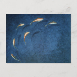 Carte Postale Goldfish Pool
