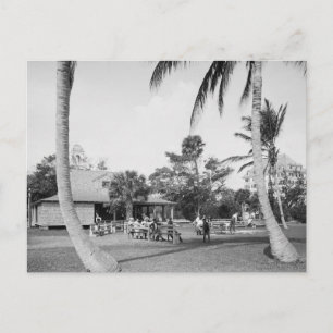 Carte Postale Golf à Palm Beach, 1904