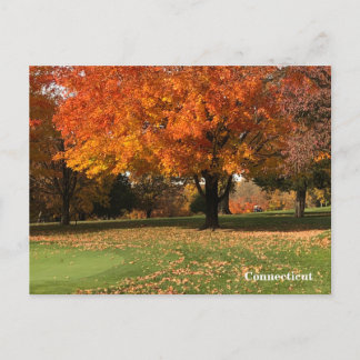 Carte postale "Golf En Automne"