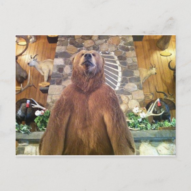 Carte Postale Goliath Space Fermes Zoo le plus grand ours du mon (Devant)
