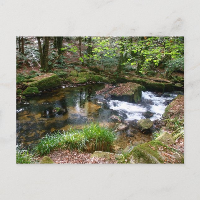 Carte Postale Golitha Falls River Fowey Cornwall Angleterre (Devant)