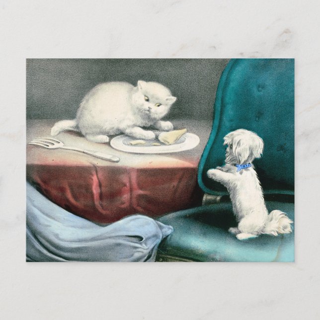 Carte Postale Good little Fido and naughty Kittie, 1893 (Devant)