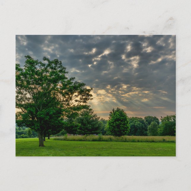 Carte postale Good Morning Ozark (Devant)
