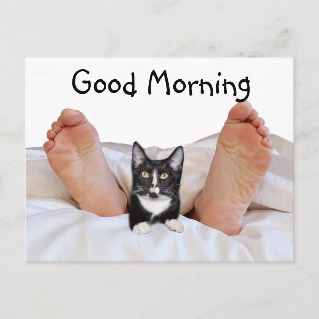 Carte Postale Good Morning Tuxedo kitty (Devant)