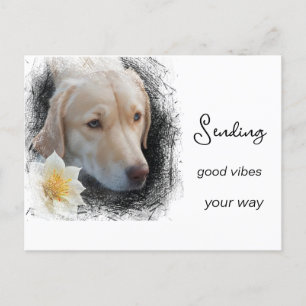 Carte Postale *~ Good Vibes Sad Gold Dog Flower AP61