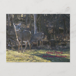 Carte Postale Goose Island, LaCrosse, Wisconsin