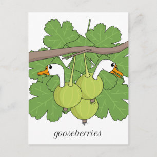 Carte Postale Gooseberries