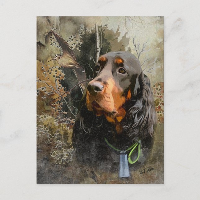 Carte Postale Gordon Setter (Devant)