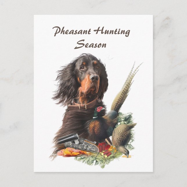 Carte Postale Gordon Setter (Devant)