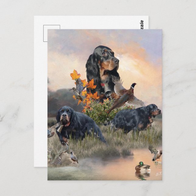 Carte Postale Gordon Setter (Devant / Derrière)