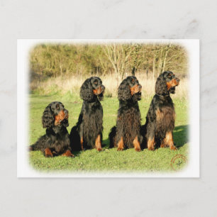Carte Postale Gordon Setter 9Y105D-080
