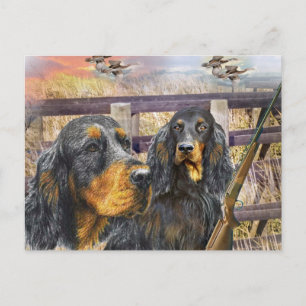 Carte Postale Gordon Setter sur une chasse cadeaux