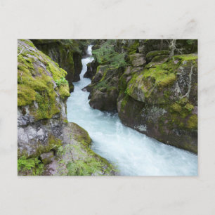 Carte Postale Gorge d'Avalanche I au Glacier National Park