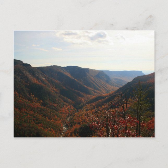 Carte Postale Gorge de Linville en automne, Caroline du Nord (Devant)