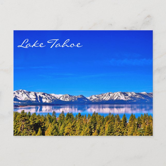 CARTE POSTALE GORGEOUS LAKE TAHOE POSTCARD (Devant)