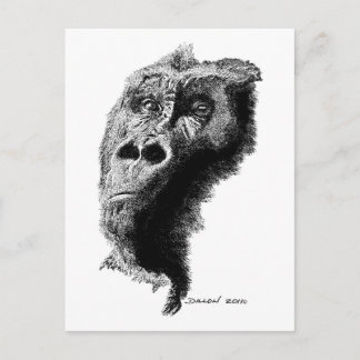 Carte Postale Gorilla