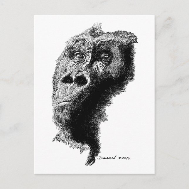 Carte Postale Gorilla (Devant)