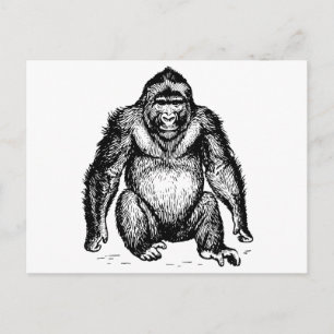 Carte Postale Gorilla