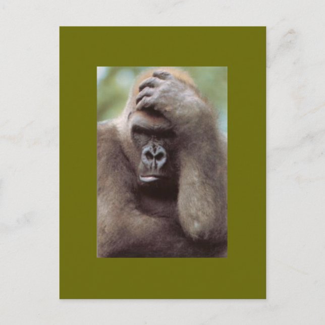 CARTE POSTALE GORILLA PENSER (Devant)