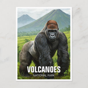 Carte Postale Gorille dans le Parc National des Volcans Rwanda V