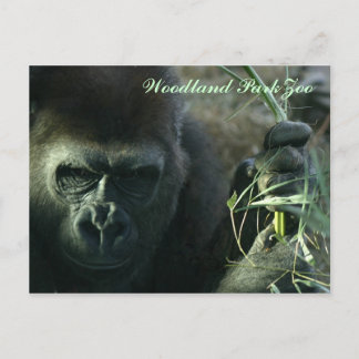 Carte Postale Gorille de zoo de parc de région boisée