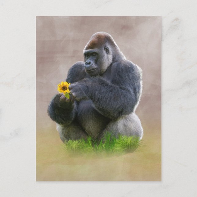 Carte Postale Gorille et marguerite jaune (Devant)