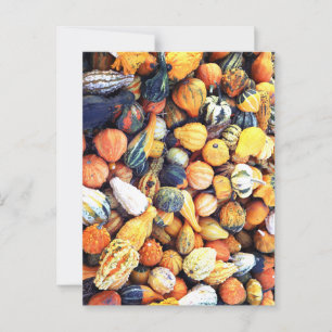 Carte Postale Gourdes colorées C