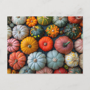 Carte Postale Gourdes et Squash Citrouille colorés