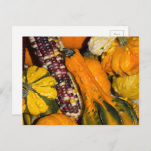 Carte Postale Gourds and Corn Fall Food Photographie