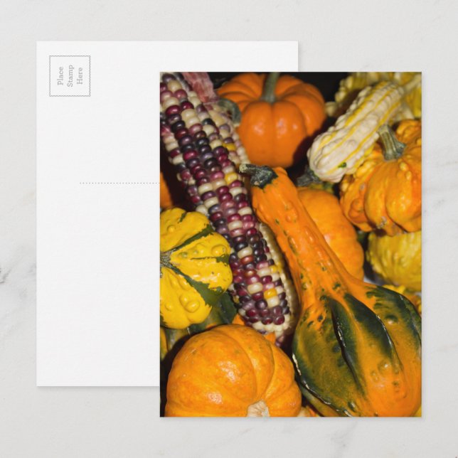 Carte Postale Gourds and Corn Fall Food Photographie (Devant / Derrière)