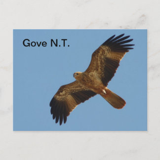 Carte postale Gove Brahminy Kite 1ère année