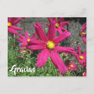 Carte Postale Gracias Espagnol violet fleurs merci