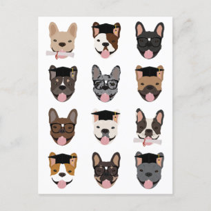 Carte Postale Graduation Français Bulldog face aux