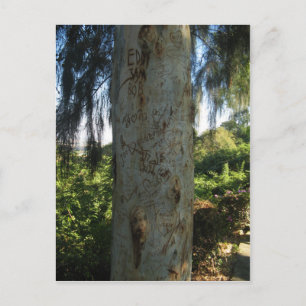 Carte Postale Graffiti d'arbre thaïlandais