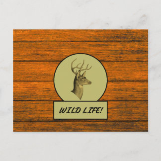 Carte postale grain de bois Buck Head