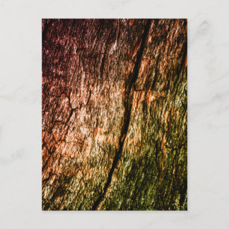 Carte Postale Grain de bois carbonisé