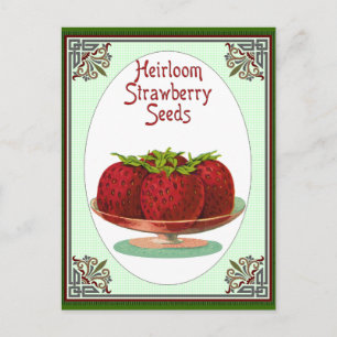 Carte Postale Graines de fraises d'Heirloom