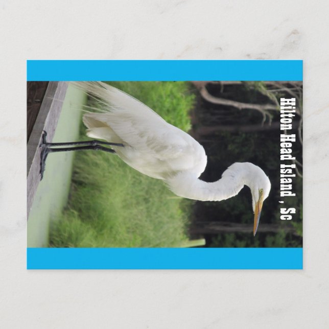 Carte Postale Grand Aiguille (Devant)