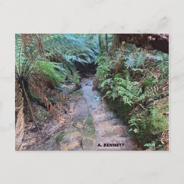 Carte Postale Grand Canyon (Devant)