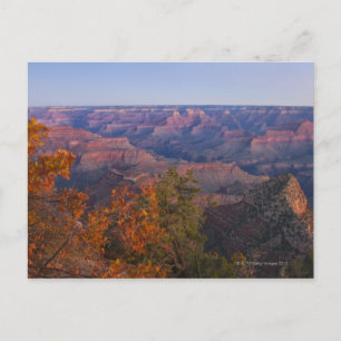Carte Postale Grand Canyon à Sunrise